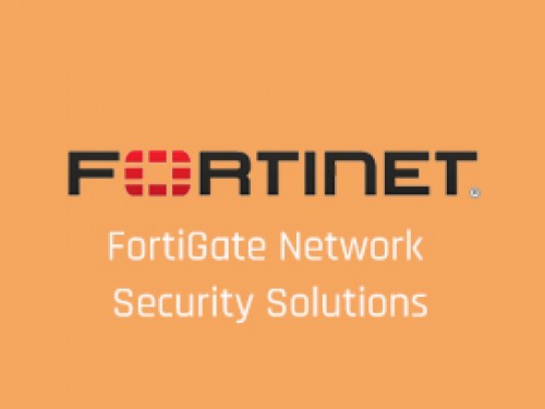 FortiGate Network Security Solutions